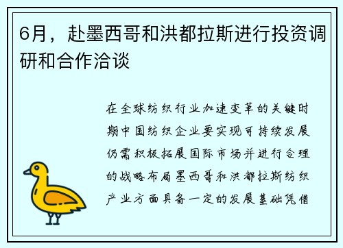 6月，赴墨西哥和洪都拉斯进行投资调研和合作洽谈