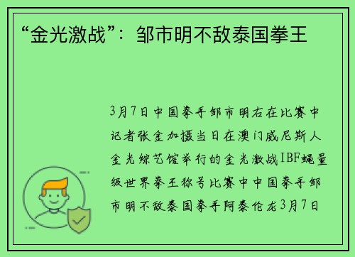“金光激战”：邹市明不敌泰国拳王